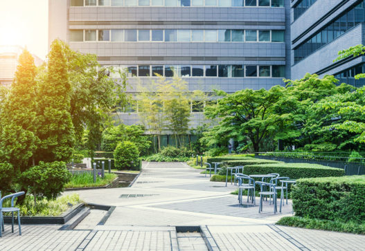 Agil Dienstleistungen Saisonale Services Gartenpflege Winterdienst