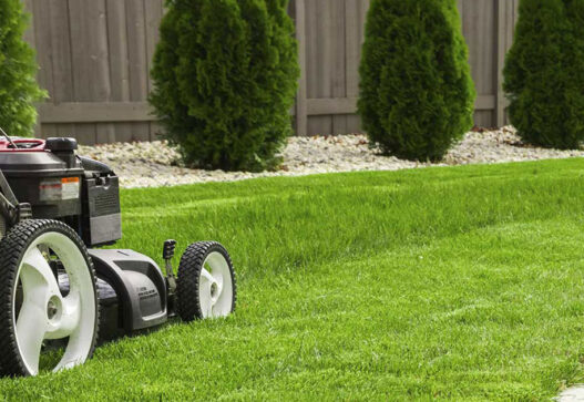 Agil Dienstleistungen Außenpflege Gartenpflege in Klagenfurt